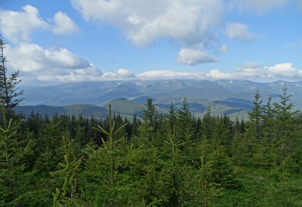 Фотографія Червень в горах / Артур Сіренко / photographers.ua