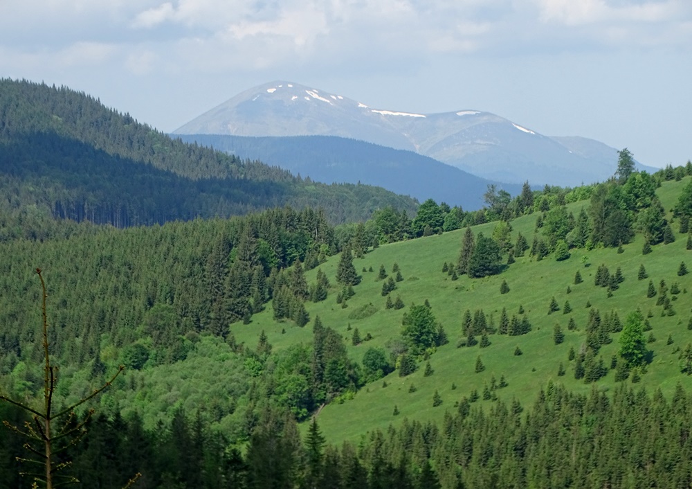 Фотографія Червнева імла / Артур Сіренко / photographers.ua