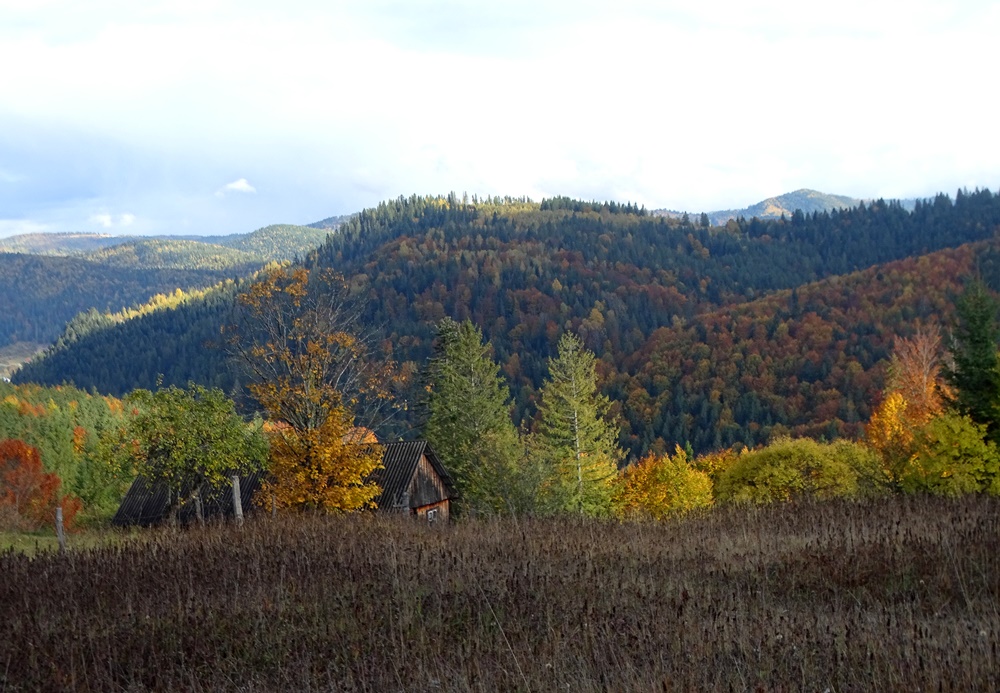 Фотографія Осінь в горах / Артур Сіренко / photographers.ua