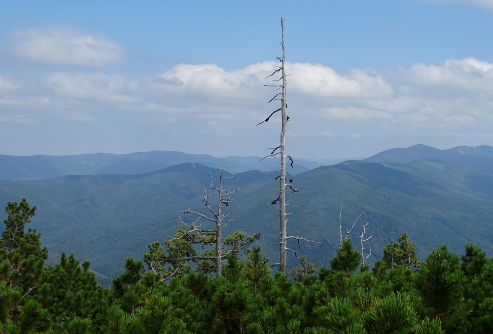 Фотографія На висоті / Артур Сіренко / photographers.ua