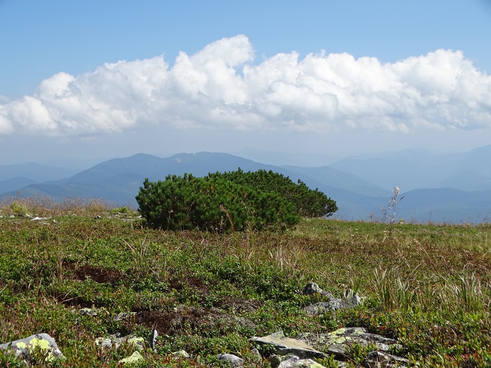 Фотографія На висоті / Артур Сіренко / photographers.ua
