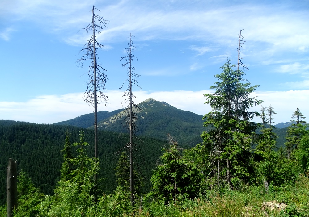 Фотографія Далеко в горах / Артур Сіренко / photographers.ua