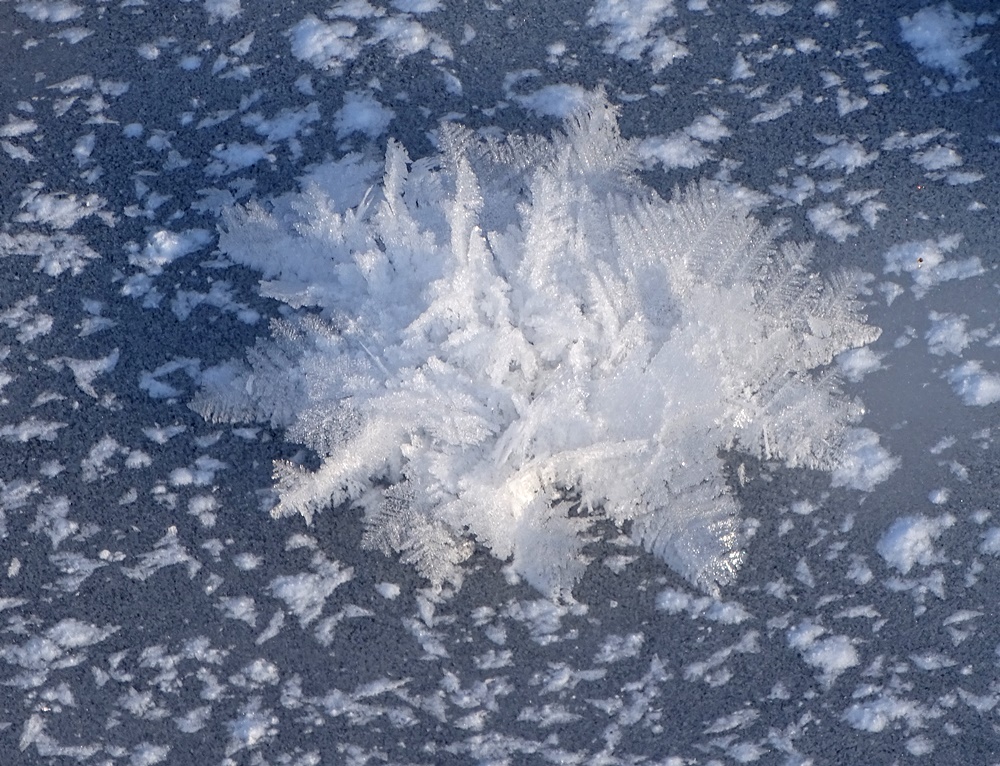 Фотографія Сніжинка на зимовому озері / Артур Сіренко / photographers.ua