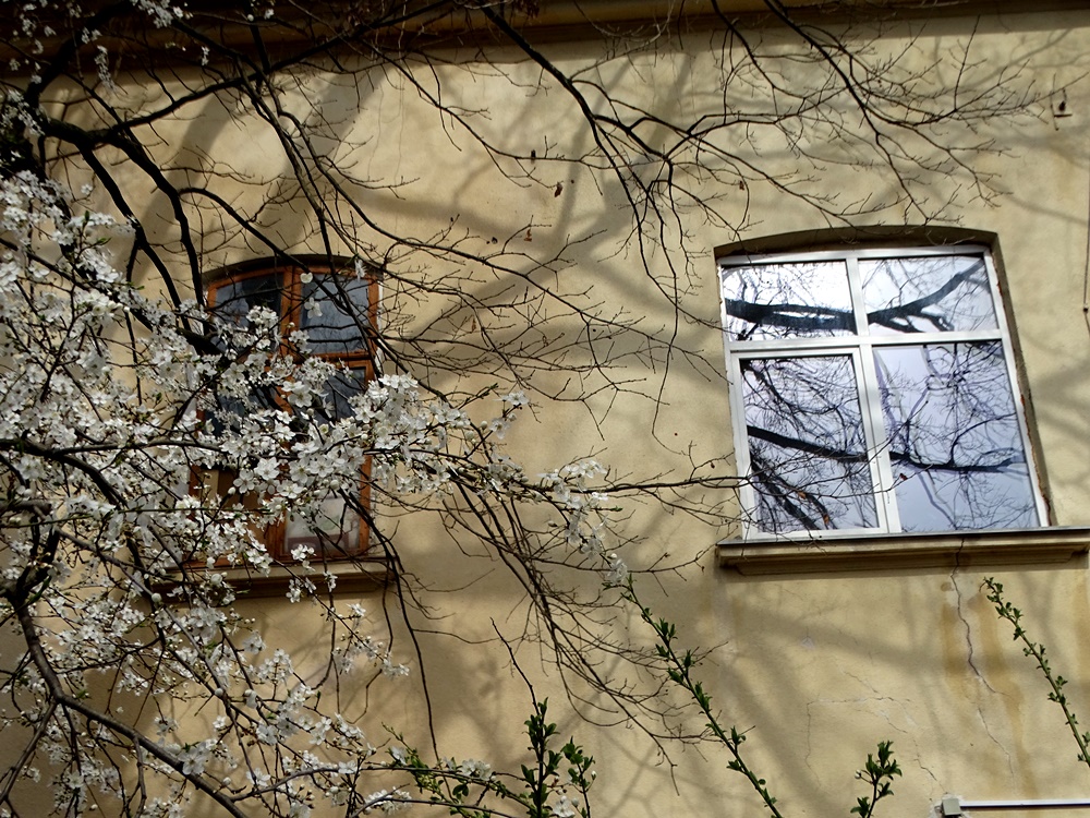 Фотографія Весна і старе місто / Артур Сіренко / photographers.ua