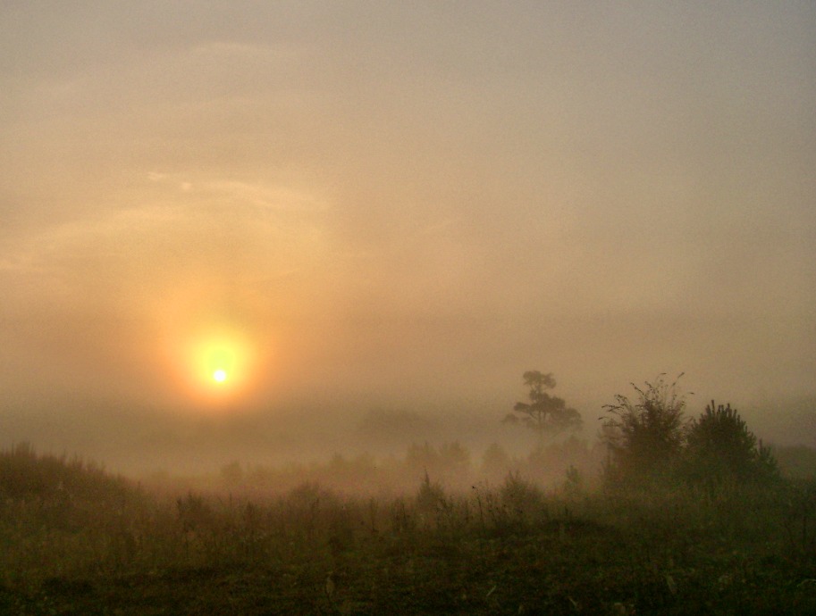 Фотографія Сонце в тумані / Артур Сіренко / photographers.ua