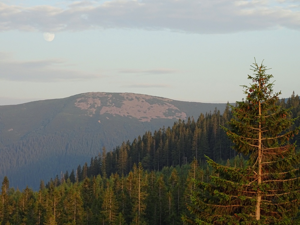 Фотографія Лиса гора та Місяць / Артур Сіренко / photographers.ua