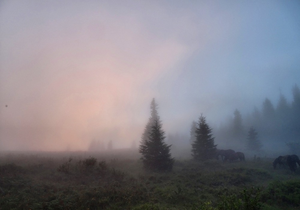 Фотографія Рожевий туман / Артур Сіренко / photographers.ua