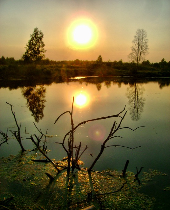 Фотографія Шляхом примарного сонця / Артур Сіренко / photographers.ua