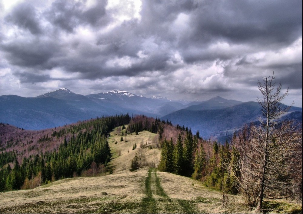 Фотографія Весняний простір гір. / Артур Сіренко / photographers.ua