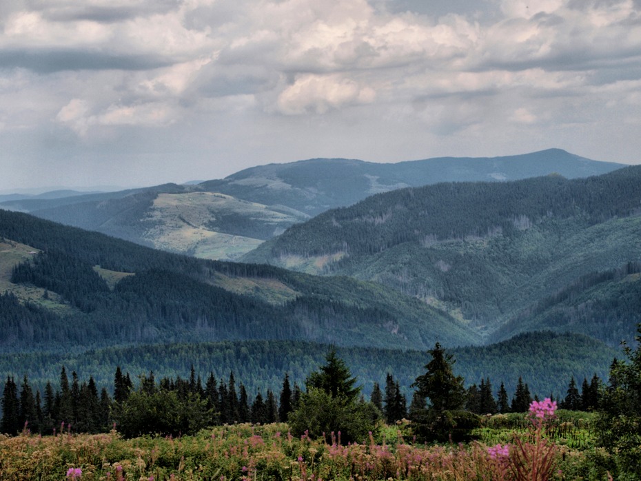 Фотографія Нескінченними дорогами гір / Артур Сіренко / photographers.ua