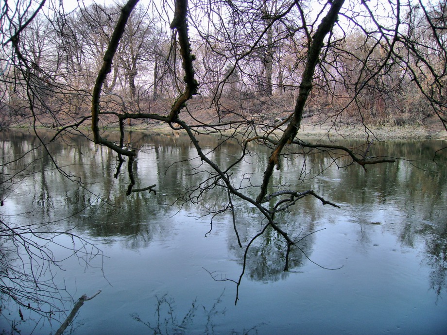 Фотографія Весна і річка / Артур Сіренко / photographers.ua