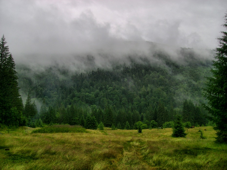 Фотографія Тумани в горах / Артур Сіренко / photographers.ua