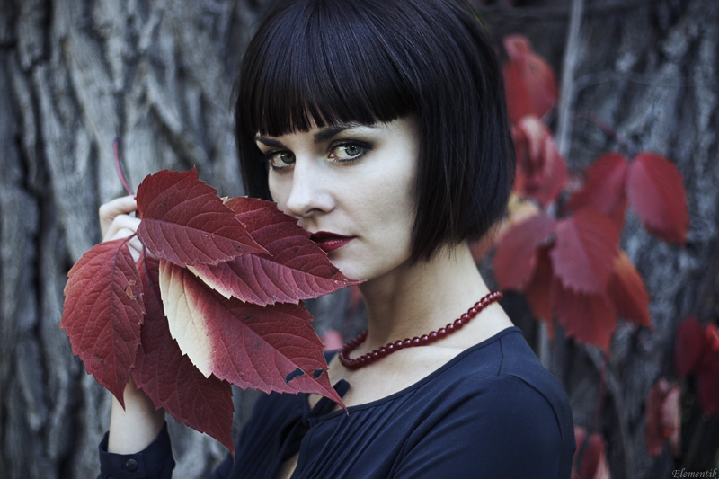 Фотографія Осень / Natalia Ciobanu / photographers.ua