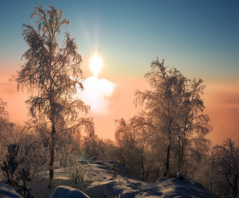 Фотографія Под низким зимнем солнцем / Михаил Маркович / photographers.ua