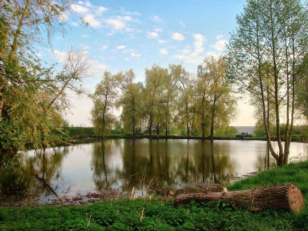 Фотографія на тихом озере / Найдион Роман / photographers.ua