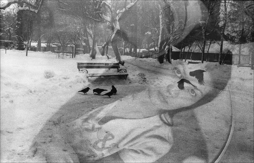 Фотографія зимние сны / Svetlana Korolyova / photographers.ua