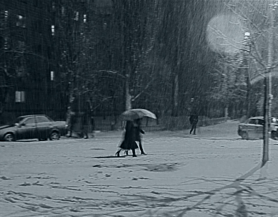 Фотографія падает снег / Svetlana Korolyova / photographers.ua