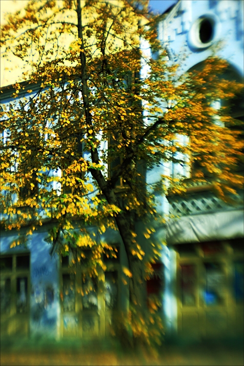 Фотографія осень в городе / Svetlana Korolyova / photographers.ua