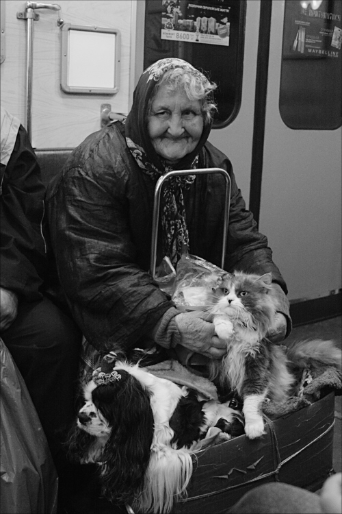 Фотографія пассажиры общественного транспорта / Svetlana Korolyova / photographers.ua