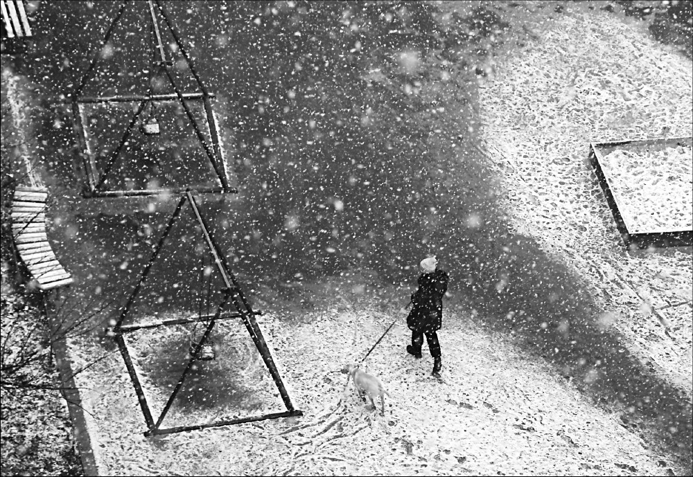 Фотографія иногда зимой падает снег... / Svetlana Korolyova / photographers.ua