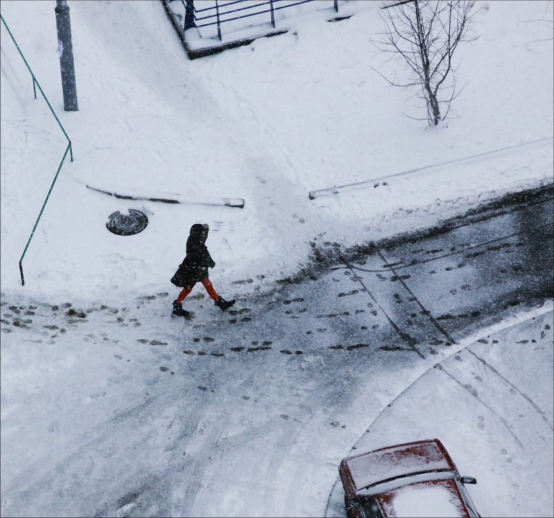 Фотографія мартовский снег / Svetlana Korolyova / photographers.ua