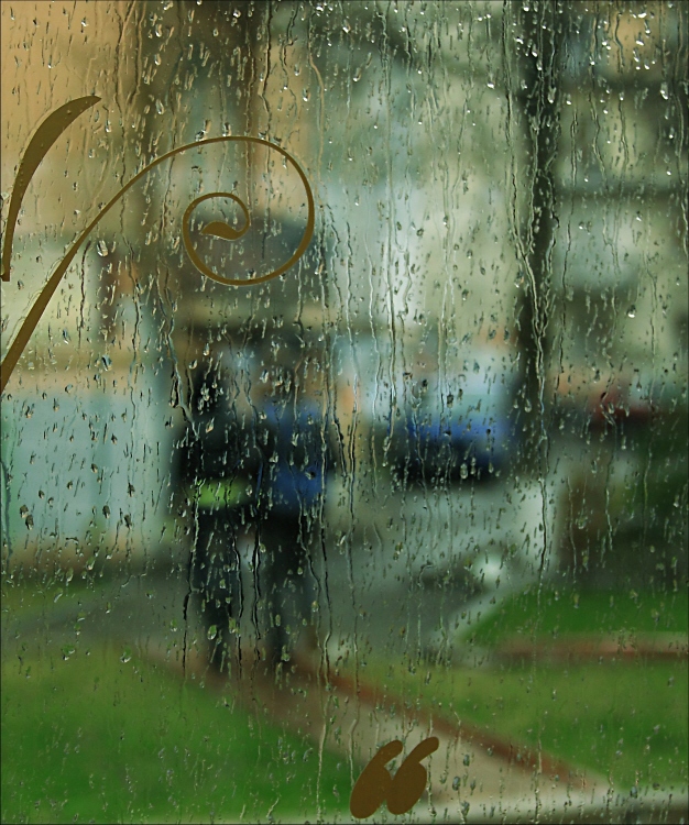 Фотографія цвет весеннего дождя / Svetlana Korolyova / photographers.ua