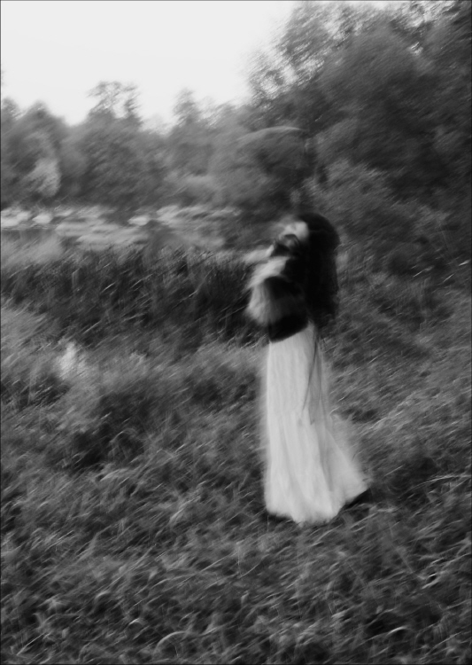 Фотографія сон осенней травы / Svetlana Korolyova / photographers.ua