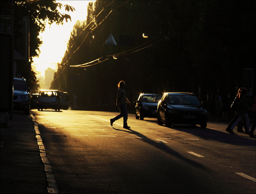 Фотографія светило закатное солнце / Svetlana Korolyova / photographers.ua