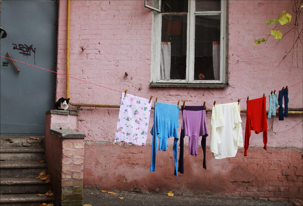 Фотографія осень / Svetlana Korolyova / photographers.ua
