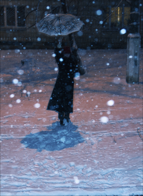 Фотографія снег над моей головой / Svetlana Korolyova / photographers.ua