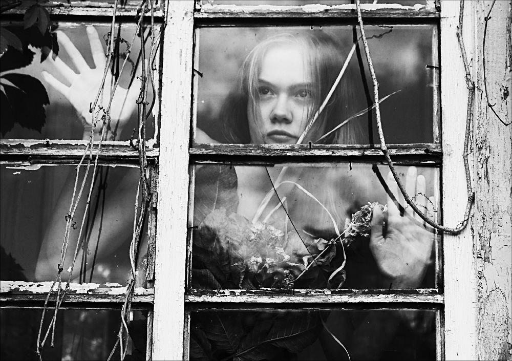 Фотографія окна старого дома / Svetlana Korolyova / photographers.ua