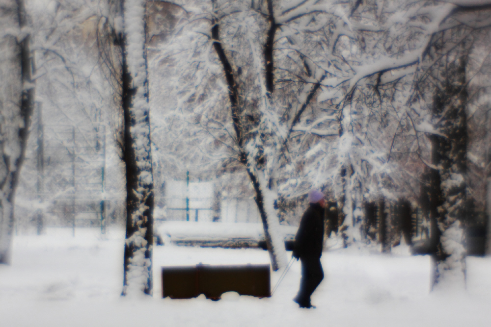 Фотографія снегопад / Svetlana Korolyova / photographers.ua