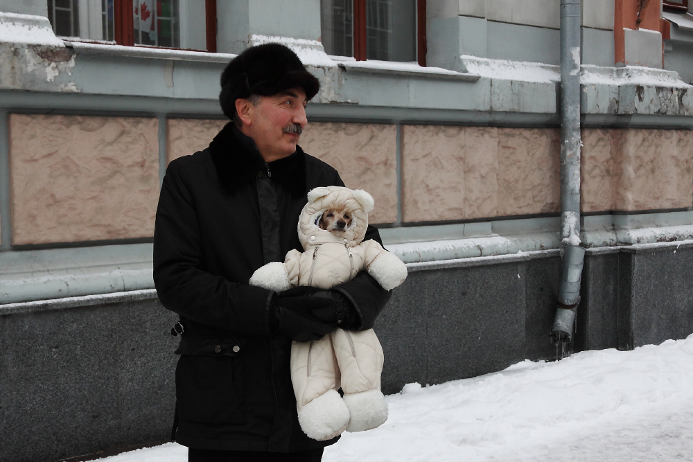 Фотографія зимние прогулки / Svetlana Korolyova / photographers.ua
