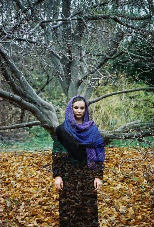 Фотографія зачарованный лес / Svetlana Korolyova / photographers.ua