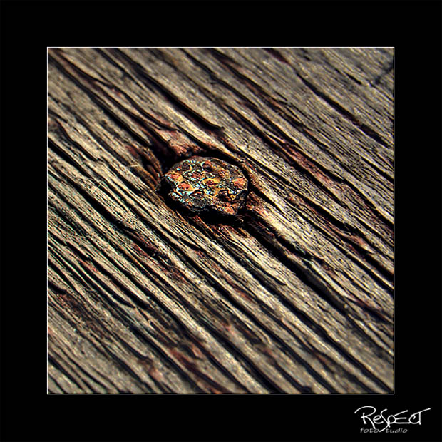 Фотографія Забит... / Роман Мартыненко / photographers.ua