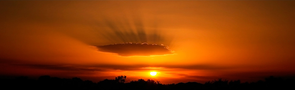 Фотографія Тепле вечірнє сонце / Roman Manko / photographers.ua