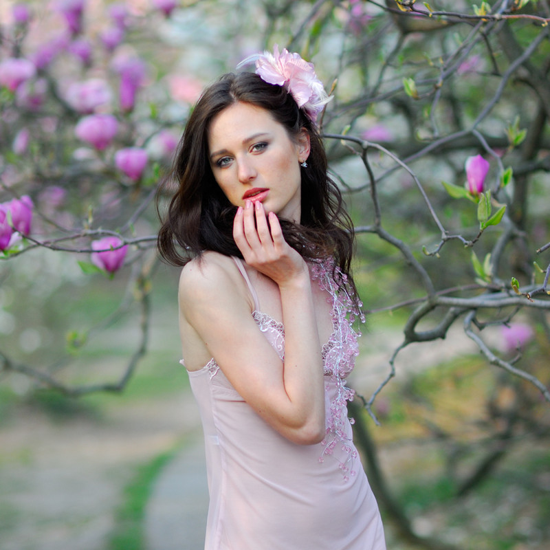 Фотографія spring flowers ver.1 / Дмитрий / photographers.ua