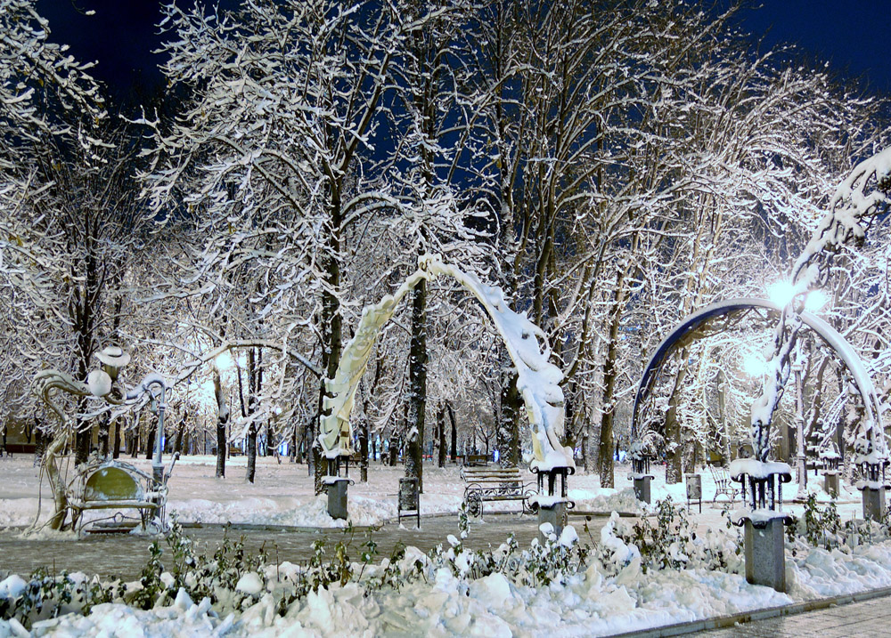 Фотографія Первый снег / Сергій / photographers.ua