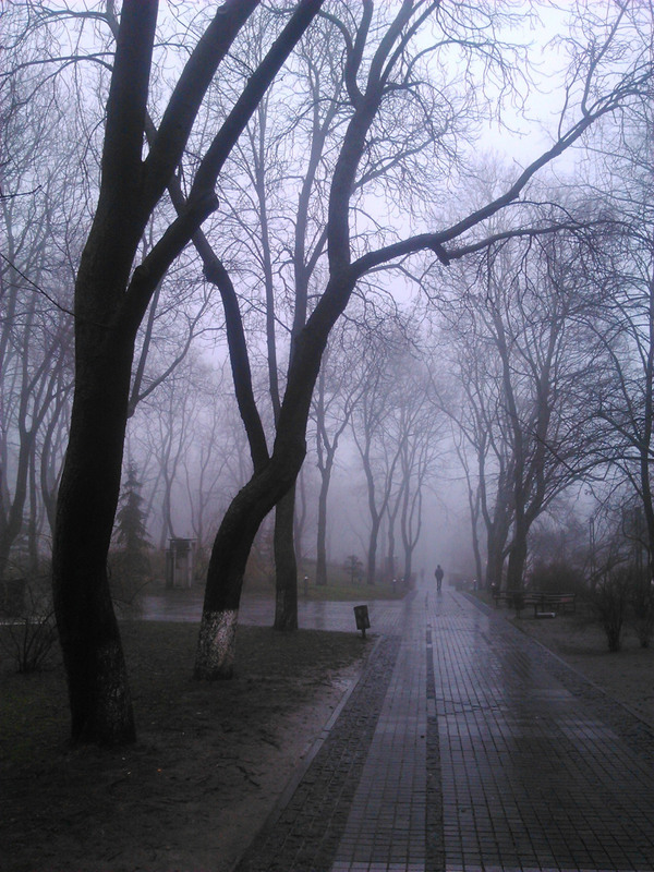 Фотографія In fog / Сергій / photographers.ua