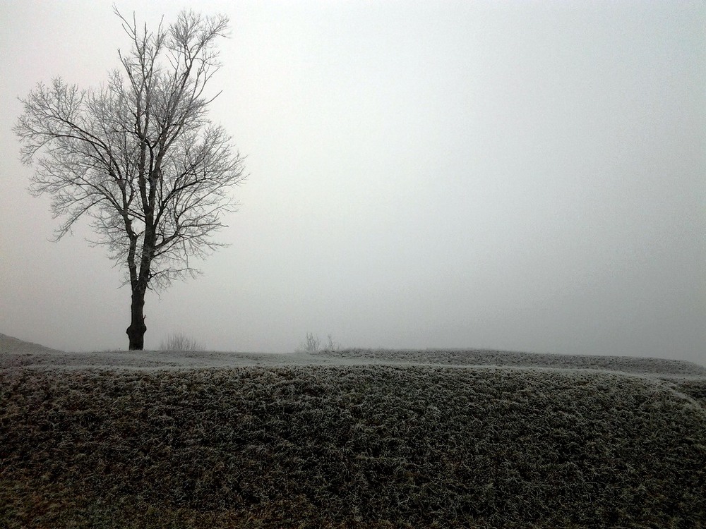 Фотографія Пейзаж / Олена / photographers.ua