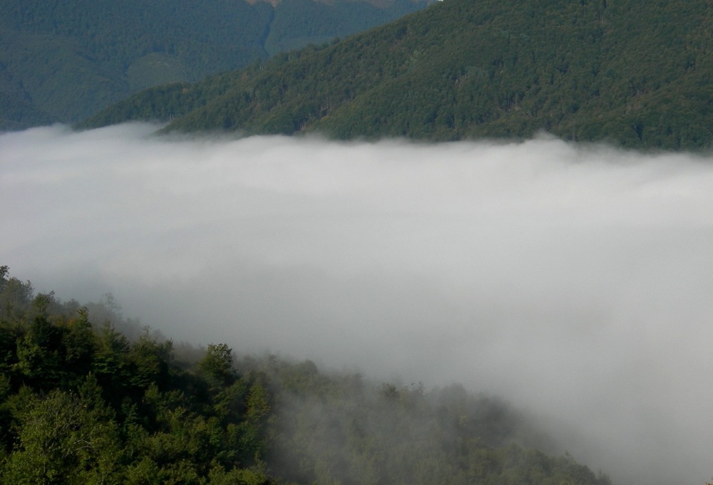 Фотографія Пейзаж / Олена / photographers.ua