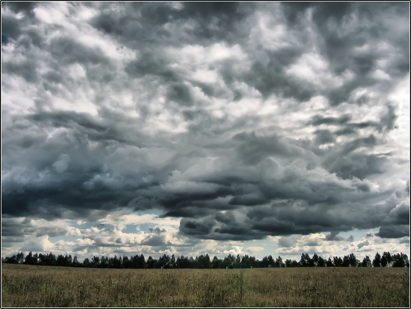 Фотографія "Нахмурилось небо в слезинках дождя" / Дмитрий Томсон / photographers.ua