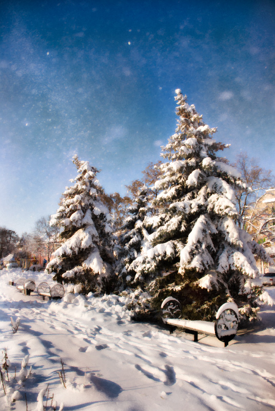 Фотографія Теплый снег / Денис Поронок ~PMR~ / photographers.ua