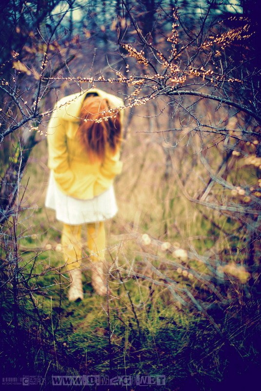 Фотографія Something wrong / diMgo Lee / photographers.ua