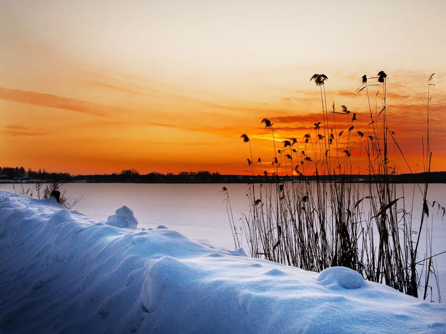Фотографія Зимний пейзаж / Sergey Moroz / photographers.ua