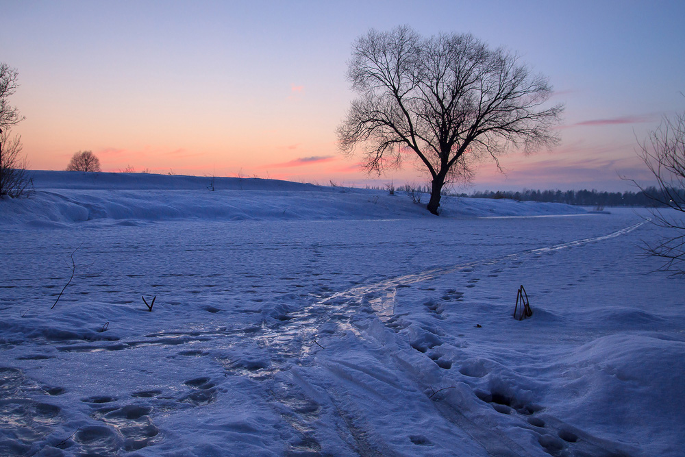 Фотографія Январский вечер / Алексей Медведев / photographers.ua