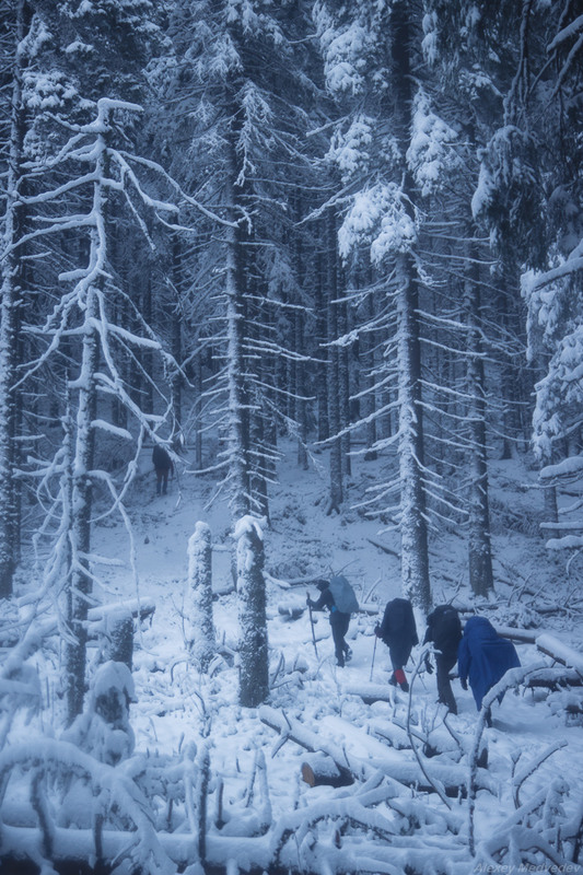 Фотографія Дихання зими / Алексей Медведев / photographers.ua