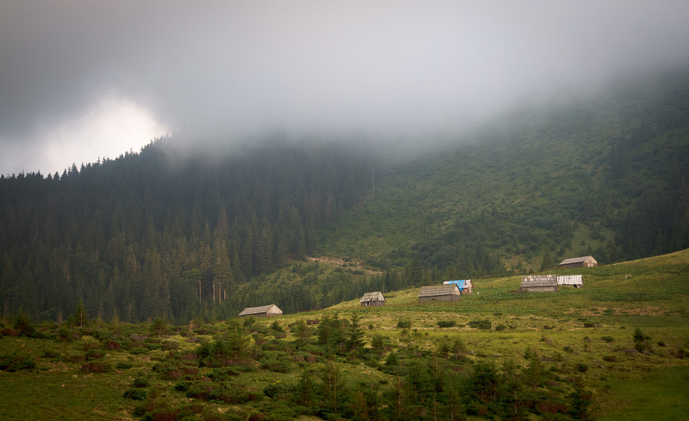 Фотографія Полонина Шеса / Алексей Медведев / photographers.ua