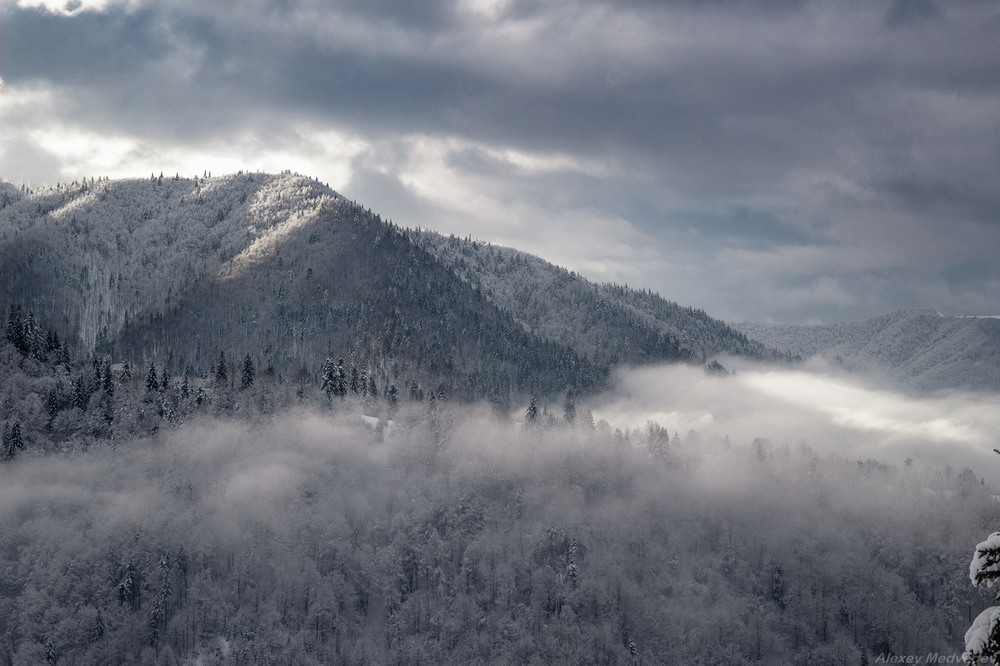 Фотографія Тумани блукаючі / Алексей Медведев / photographers.ua