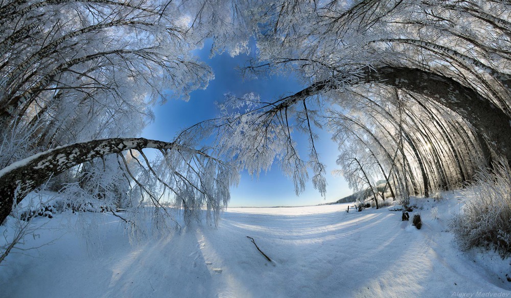 Фотографія Зимний Сенеж / Алексей Медведев / photographers.ua